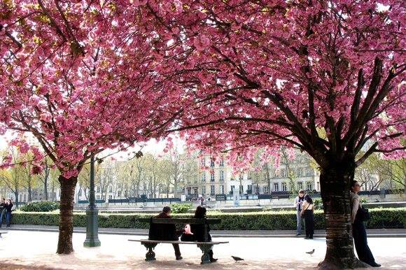 paris-in-spring